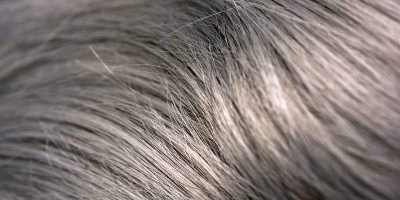 How to Make Gray Hair Shiny Silver: The Brighter You Get